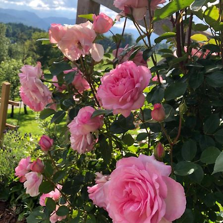 Apartma Rosa Spodnji Otok Luaran gambar